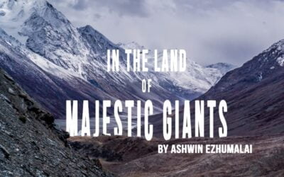 In the Land of Majestic Giants