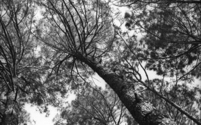 DARKROOM WORKSHOP