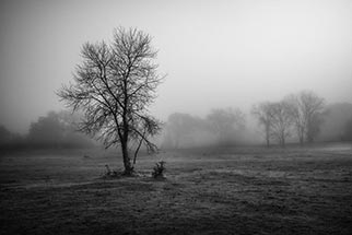 DARKROOM WORKSHOP