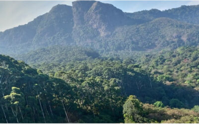 MASINAGUDI ADVENTURE