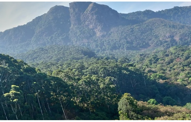 MASINAGUDI ADVENTURE