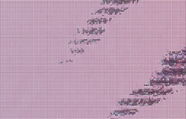 DISSONANCE